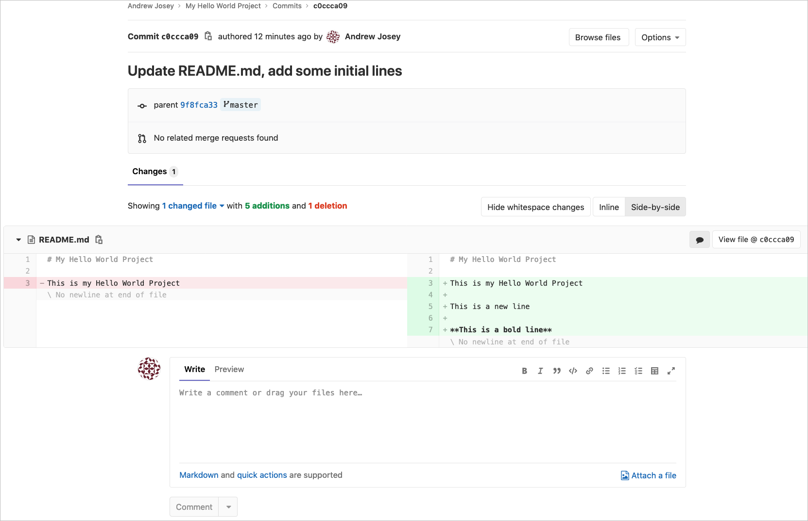 View the Commit Details