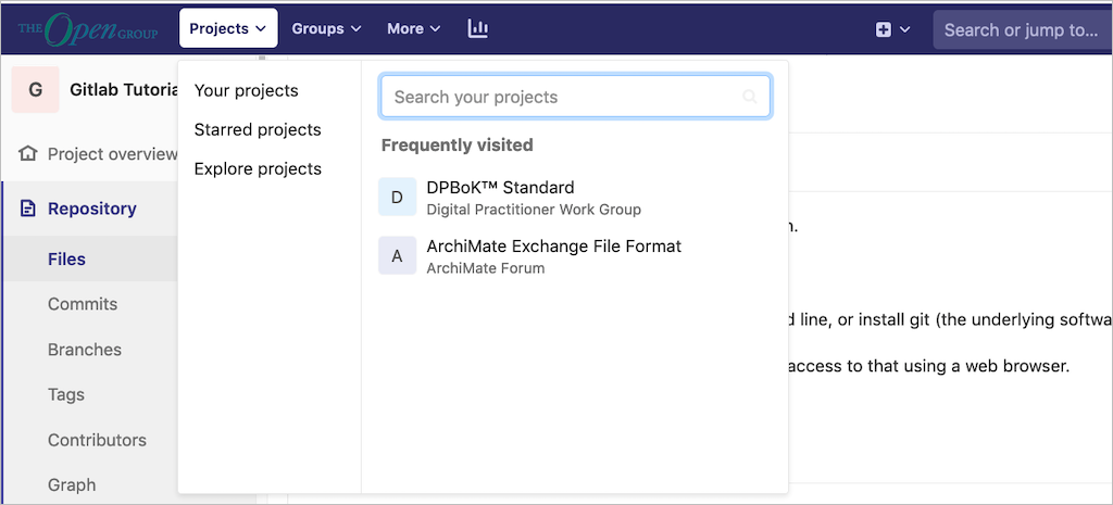 GitLab Projects View